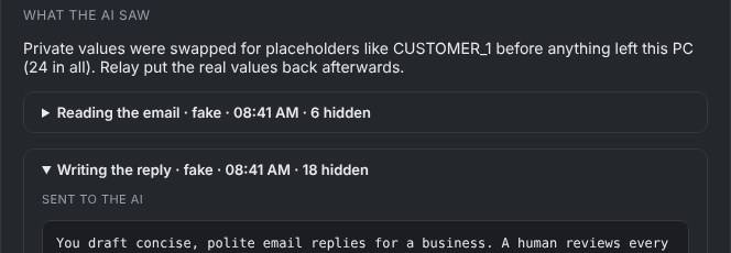 The 'What the AI saw' panel showing placeholders such as CUSTOMER_1 in place of real names.